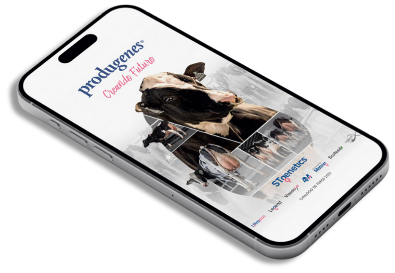 Catálogo 2025 en celular