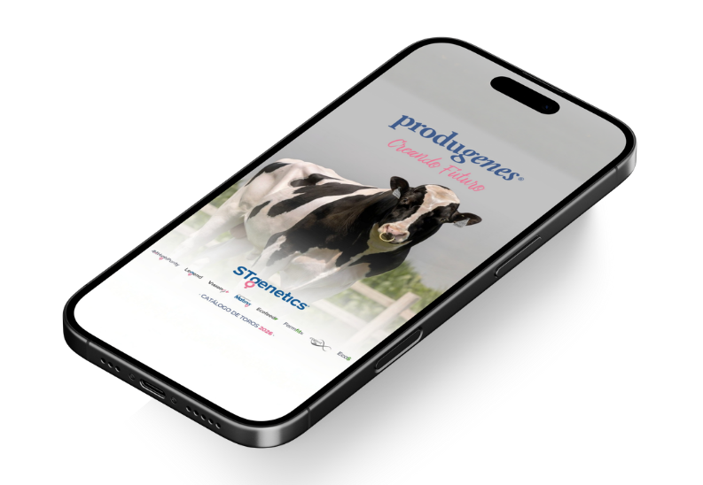 Mockup Catálogo Toros 2026