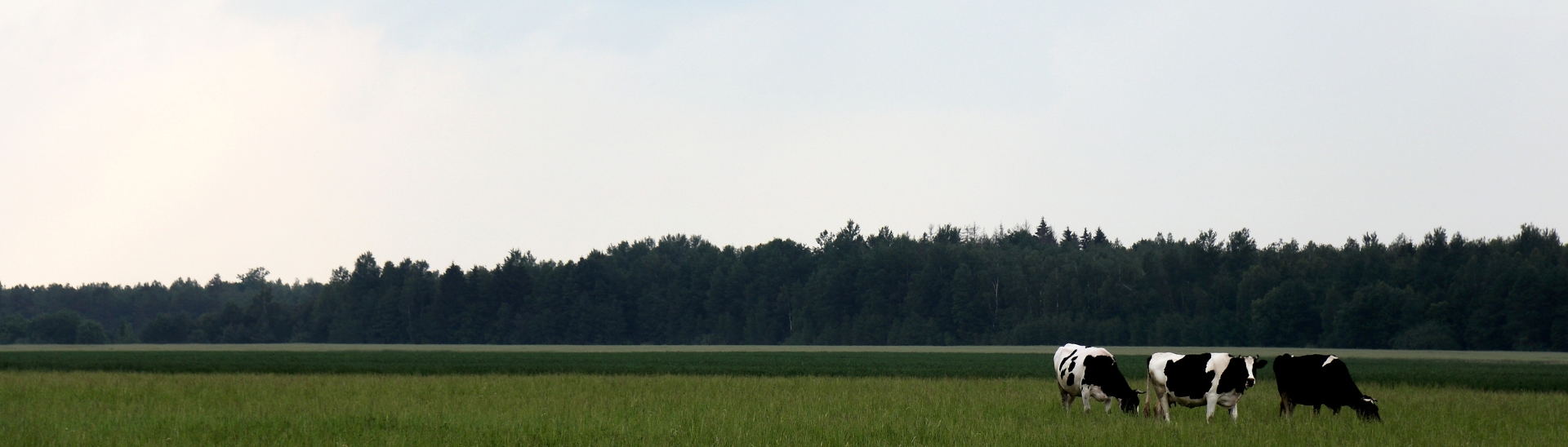 Produgenes - Nuestra Empresa